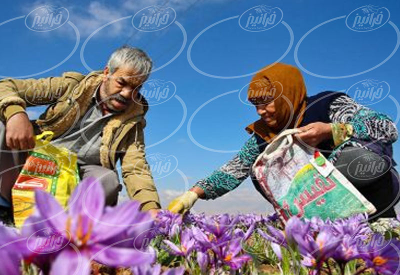 فروش رنگ زعفران ایرانی به صورت آنلاین 